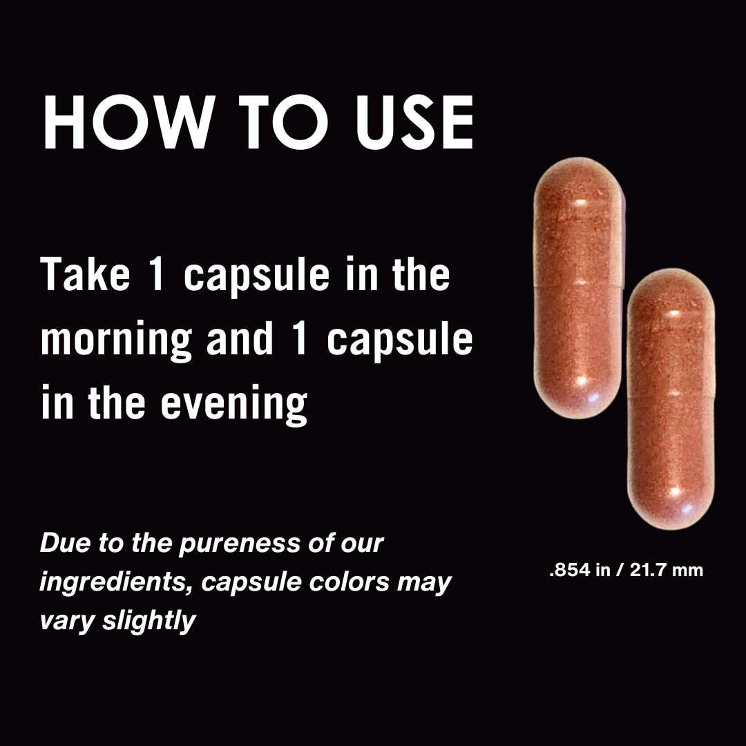 SunArmor with Polypodium Fights The Signs of Photoaging